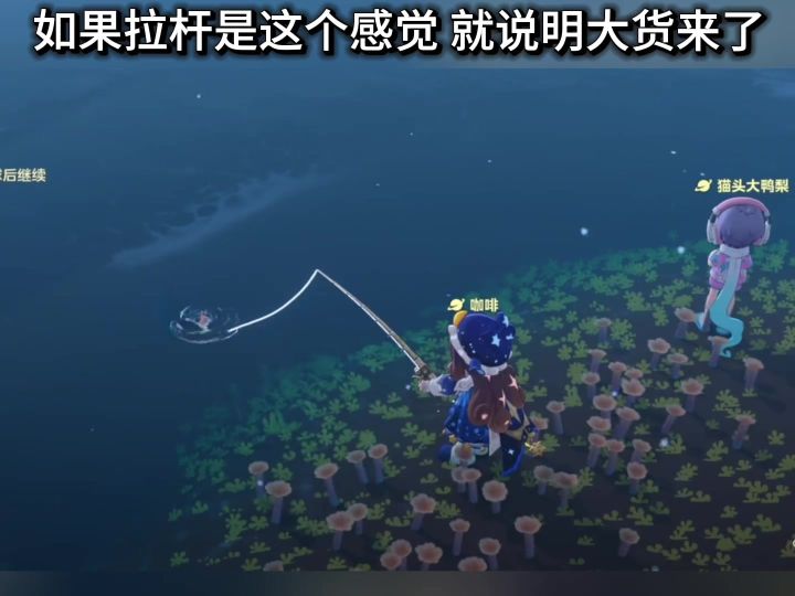 大鱼截图