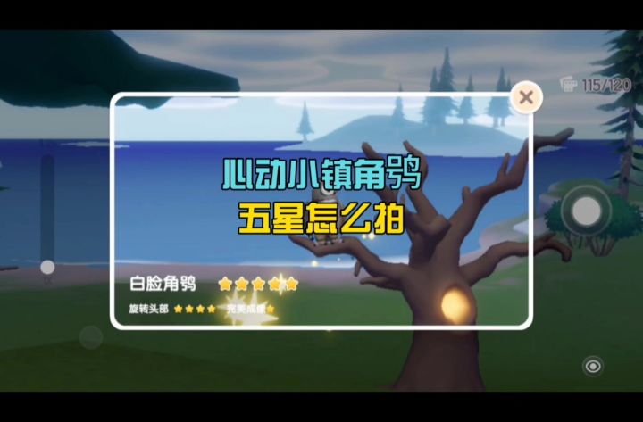 心动小镇下雨了 一条视频教你拍角鸮五星!截图