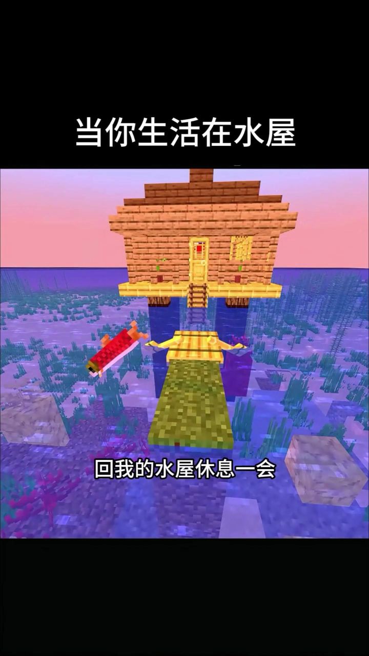 当你生活在水屋截图
