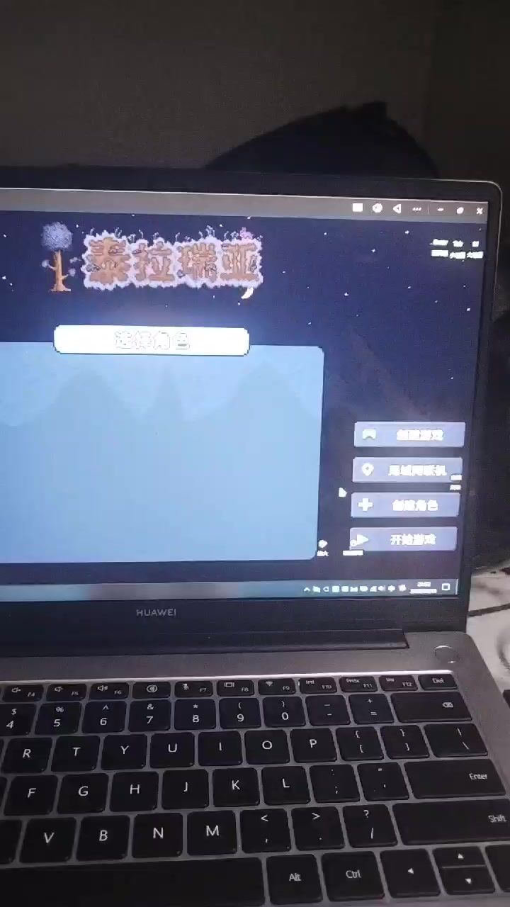 泰拉瑞亚截图