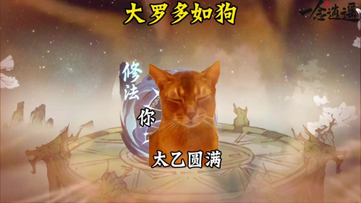 大罗多如狗截图