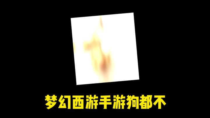 玩 玩的就是梦幻西游截图