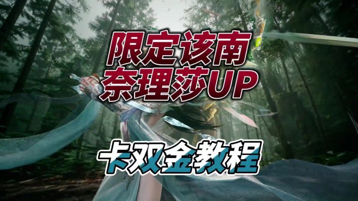 该南奈理莎卡双金教学截图