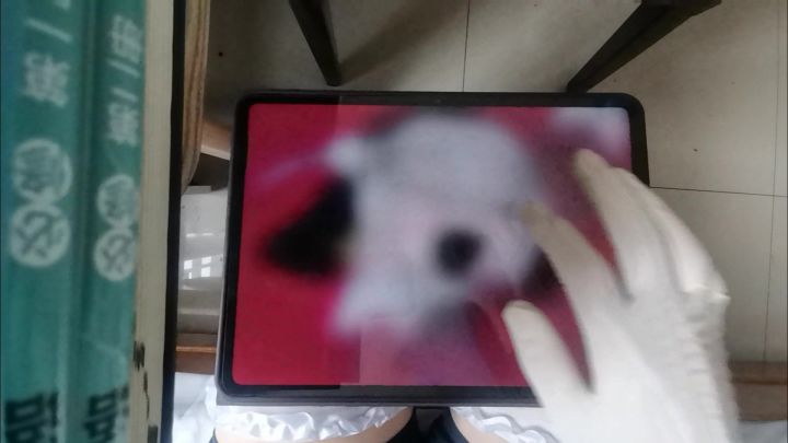 Phira 驱魔/アクマバライ AT.16截图
