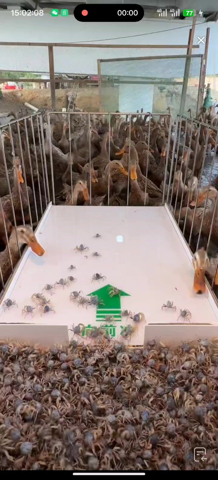 能出一个这样的关卡吗?截图