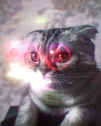 赛博朋克生活 猫.