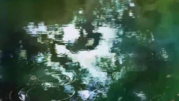 Sakura&绘梨衣的最后旅行