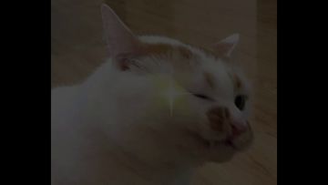 《完美世界》手游：能造人还能上天入地？