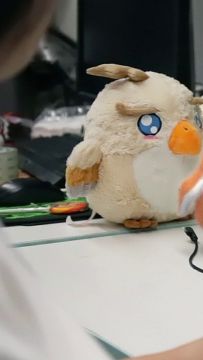 猜猜公测前一夜雕儿在干啥……