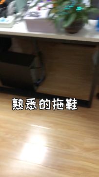 【视频专题】领导不好好上班，就知道打游戏_研发日志_第004期