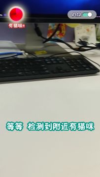 黑猫警长伪装成我的鼠标？看我收了你！