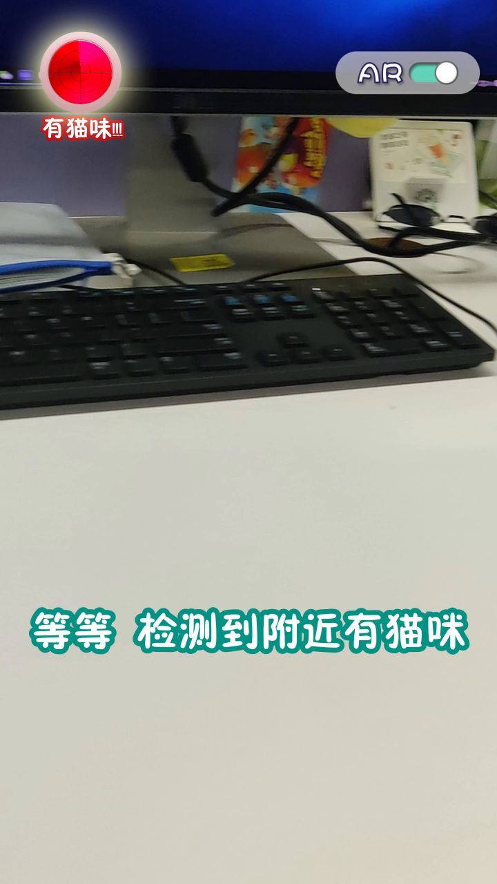 video-1230967