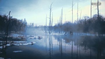 《青璃》制作人专访：不仅仅是动作解密游戏，更是一部能玩的“叙事电影”