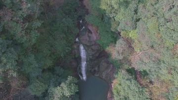缘起雅安回梦游仙 仙剑4手游带你重游熊猫故乡