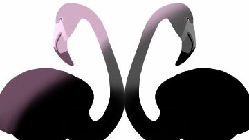 公鸟和公鸟怎么可以亲亲呢？萌出碧血的《文鸟恋爱物语》来啦