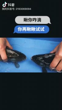 【星界通讯】「β-4测试」爆料之斗鱼玩法