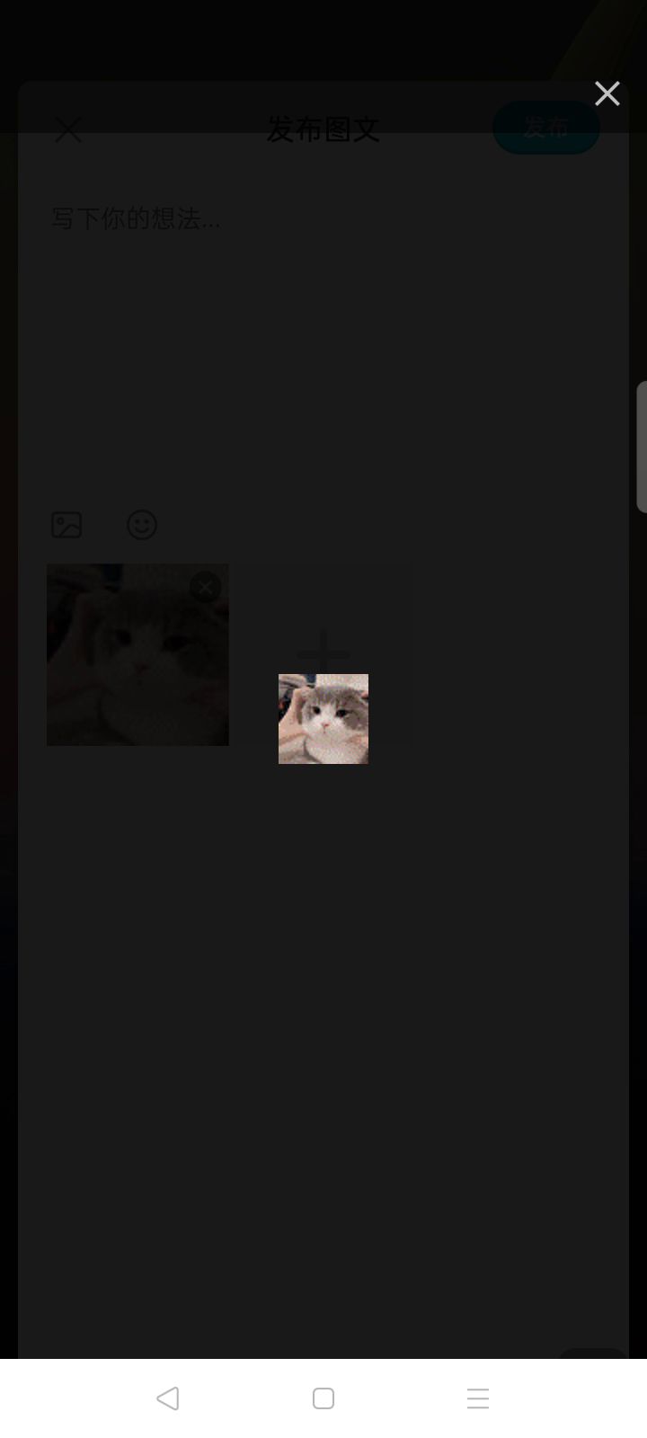 cvb,bb截图