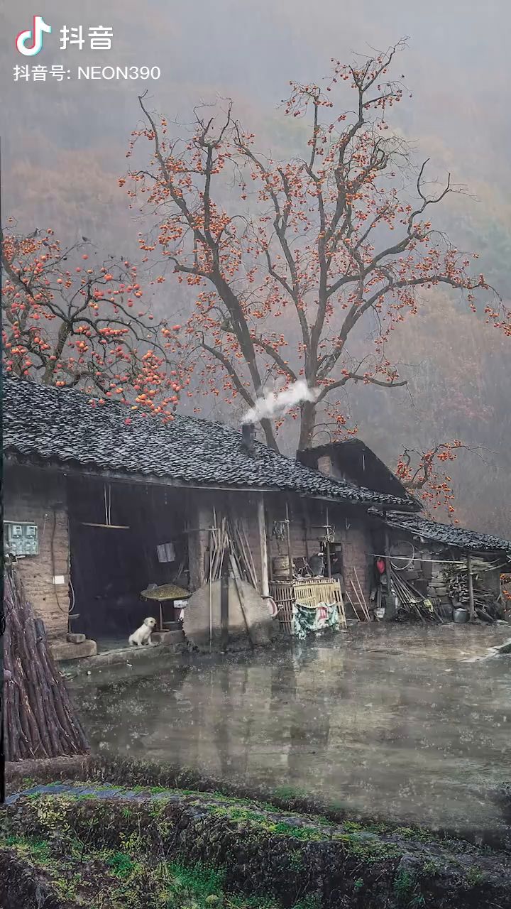 现实版截图