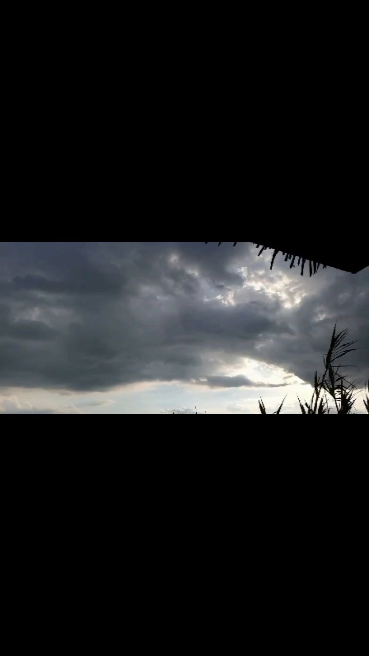 video-2080275