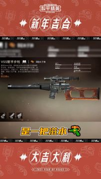 和平精英：vss教学