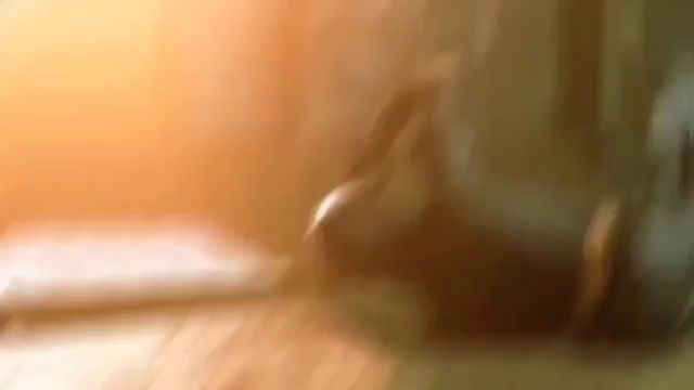 结合前一个动态，这应该是第6季通行证宣传片截图