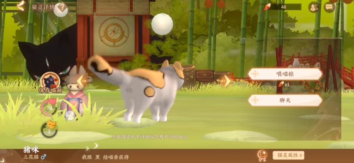 怎么会有这么丑的小猫咪啊！！截图