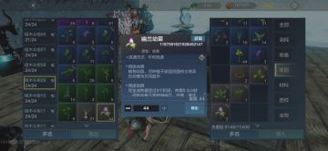 关于物品与箱子格位
