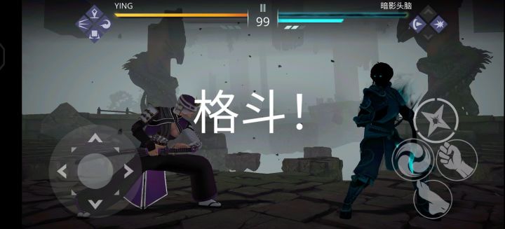 暗影格斗秒杀技巧截图
