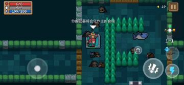 【元气骑士】新版本奉献池作用