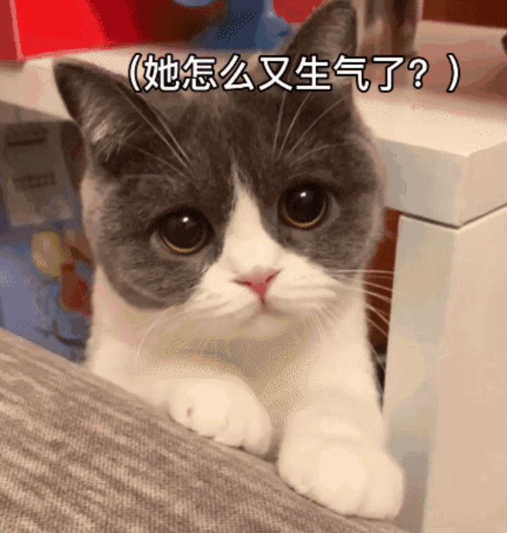 通关cg视频截图
