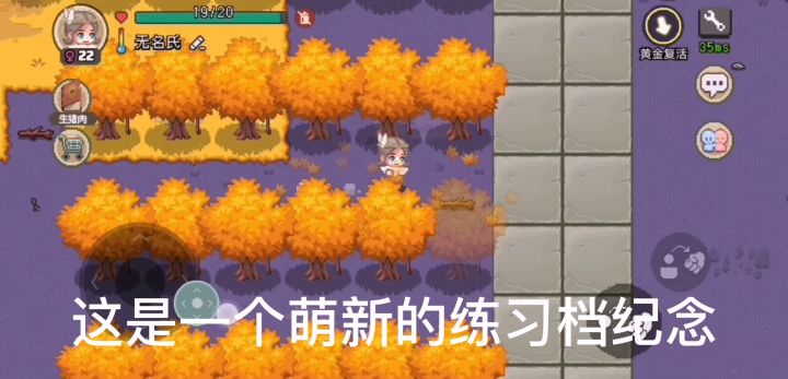 萌新建家初体验截图