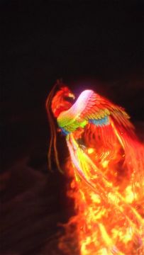 召唤兽-不死鸟B