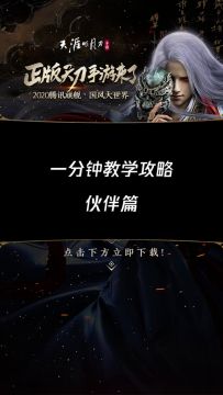 天涯明月刀伙伴攻略