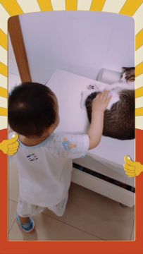 6月8日 运营日记