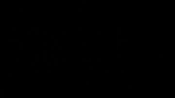 Beyond Light on a Guinness World Record Breaking screen