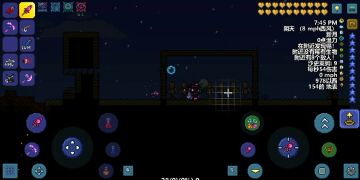 Terraria生存技巧总汇贴