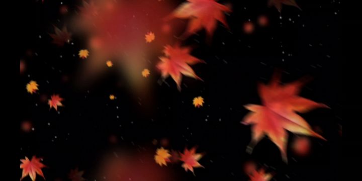 【星宫羽织的冒险之旅】第二集:租房记(日常篇)截图