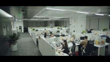 新版本发布前夜，策划组集体失踪？！