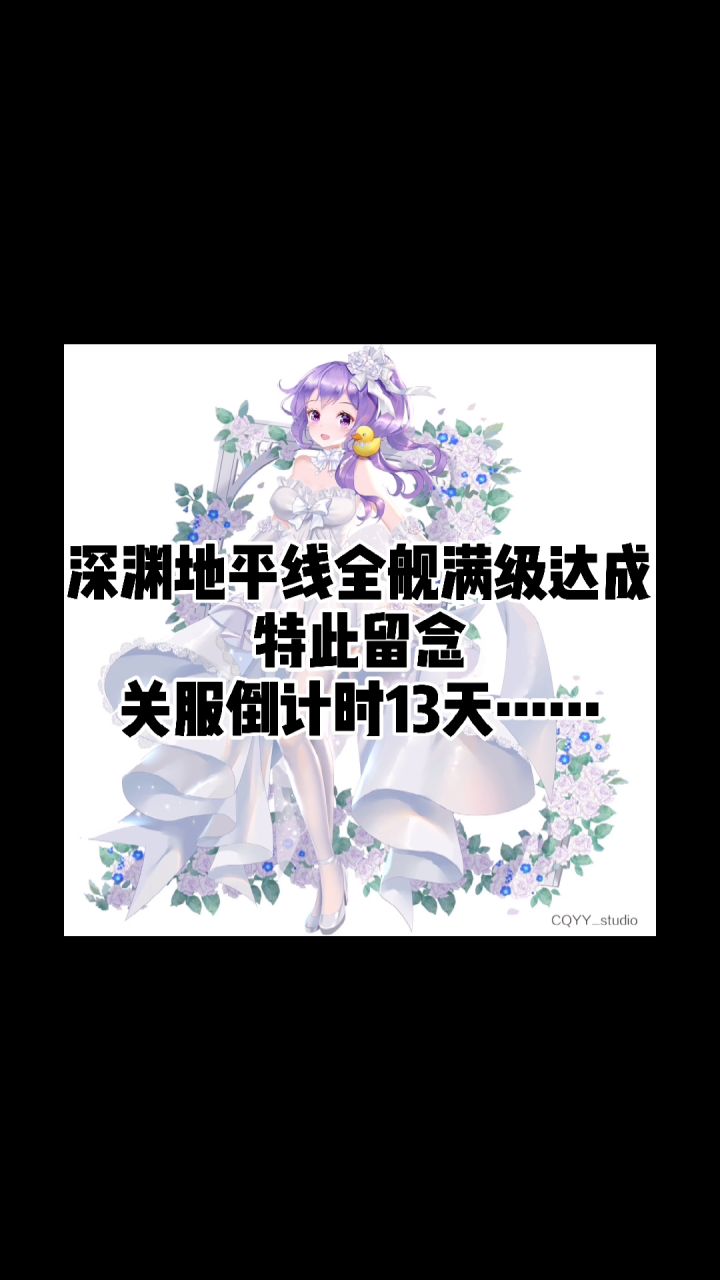 留念贴，全舰满级达成！截图