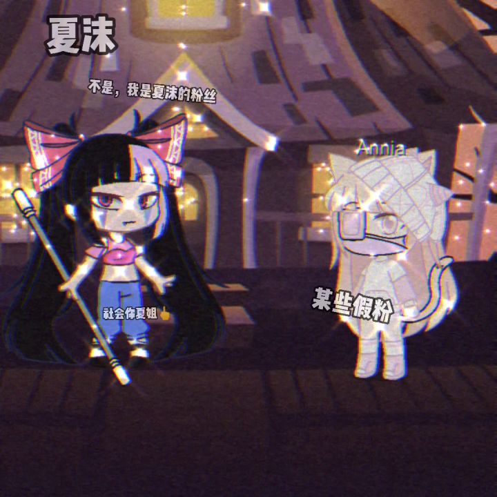 盘点我(夏沫)粉丝中的假粉截图