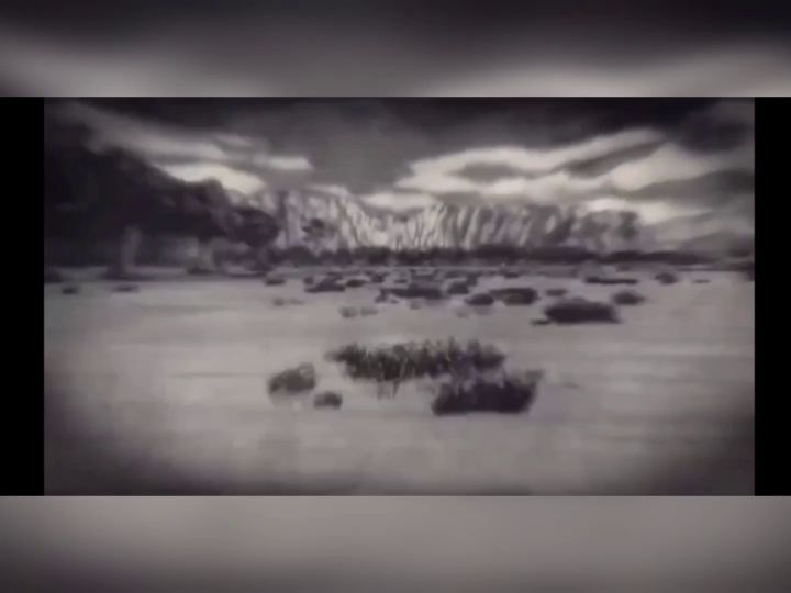 火影忍者截图