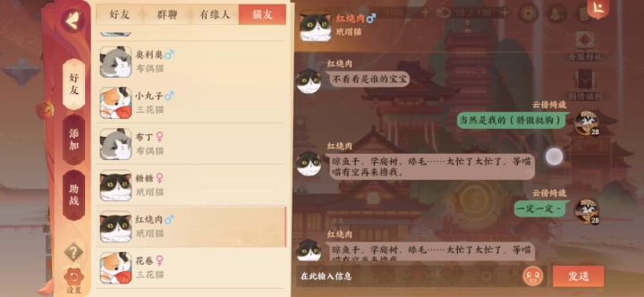 和猫猫说话～截图