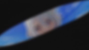 【重大发表】新“番”定档！