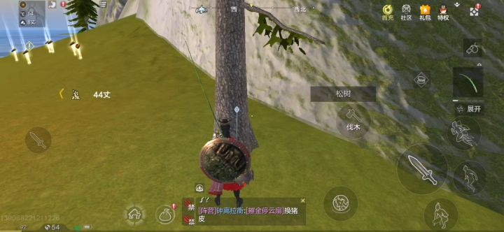 又出bug了，背包没满但装不下东西！ 2截图