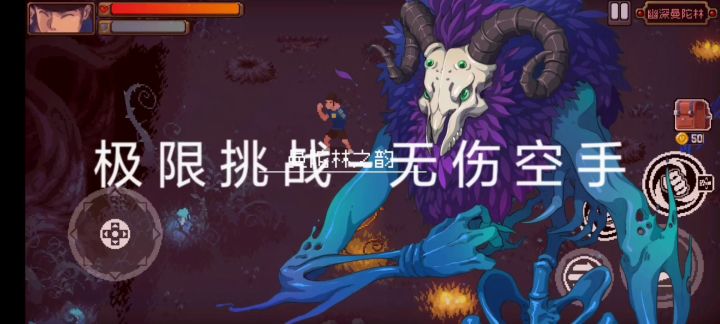 【极限挑战】真幻境·空手无伤无药爆锤曼陀林!截图