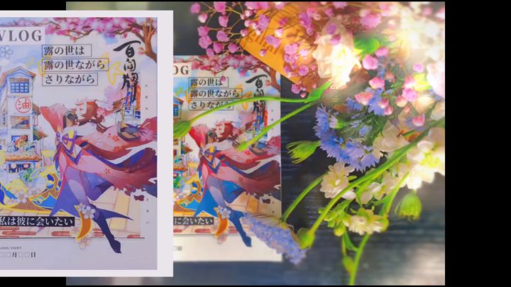 【狸猫会】百闻手账-桃花妖篇截图