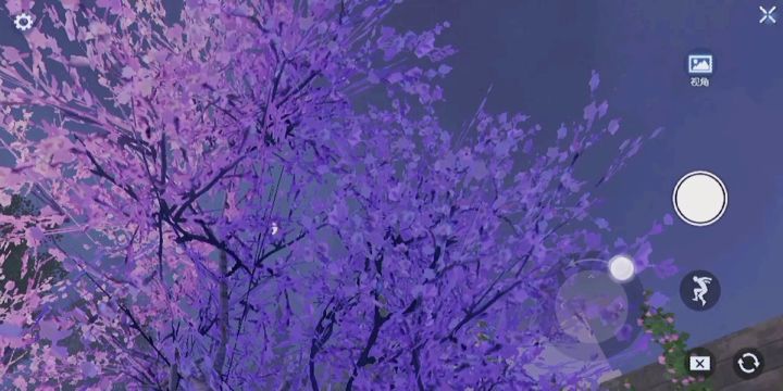 繁花落尽似梦初醒,幸存者,准备好了吗!截图