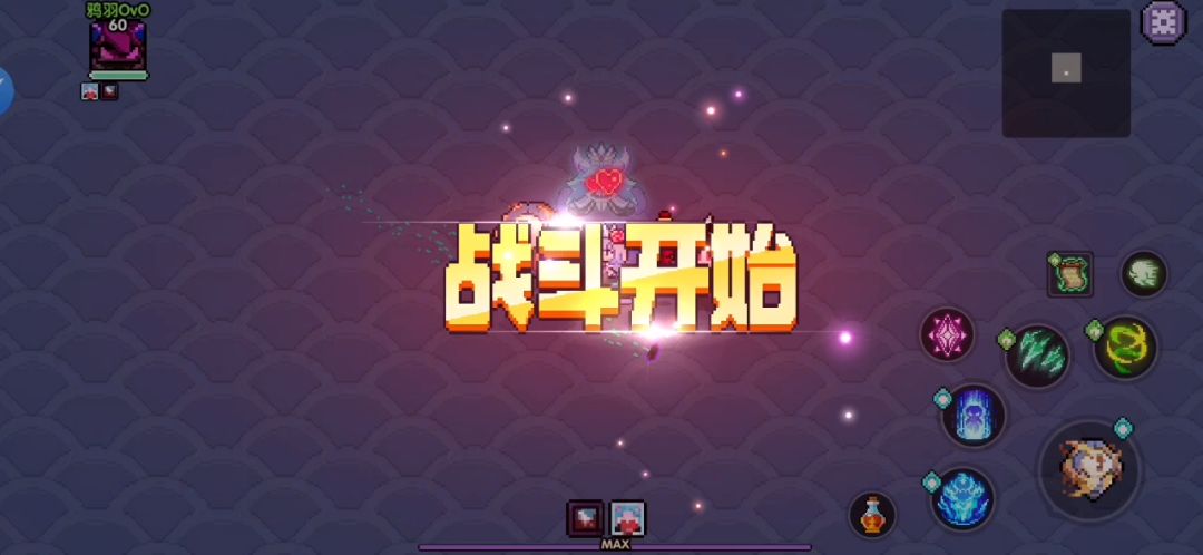 video-2066480