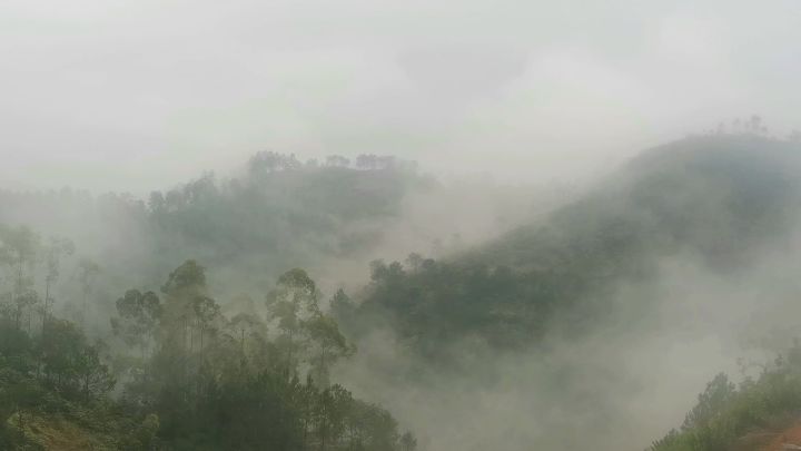 在这里上班我不是修仙截图