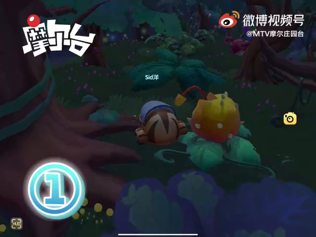 【黑森林宝箱位置攻略】视频版7月17日截图